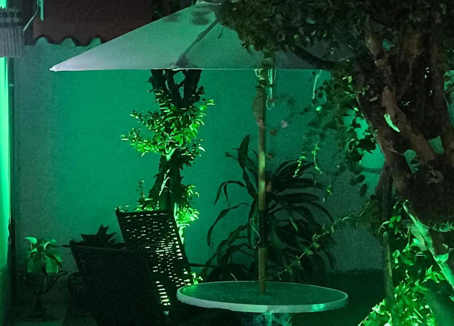Residencial Girassol Outeiro Hotel Porto Seguro 0*,